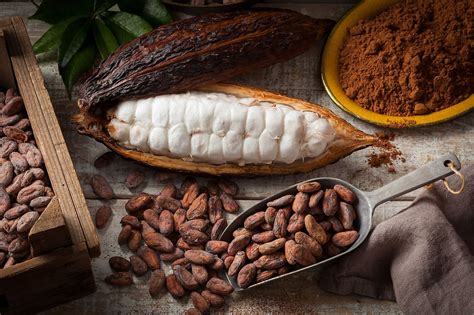  Cacao: Un tesoro para la industria chocolatera y una maravilla para el paladar!