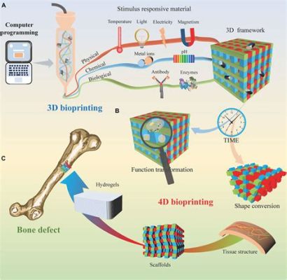  Colágeno: Un Material Biocompatible Para la Regeneración Tisular y la Ingeniería de Tejidos!