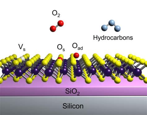  ¿Excitones en Eukaliptoides: Revolucionando la Optoelectrónica de Próxima Generación?