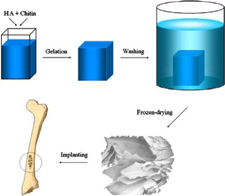  Hidroxiapatita: Biocerámica para Regeneración Ósea y Escaffolds Innovadores!