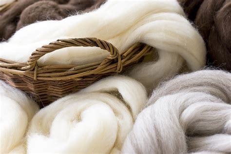  ¡Wool: La Fibra Natural con Propiedades Insuperables para la Producción Textil!